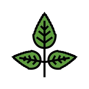 Rose flower leaf color icon vector illustration Stock Illustration