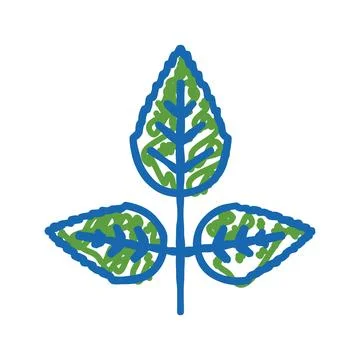 Rose flower leaf icon doodle illustration Stock Illustration