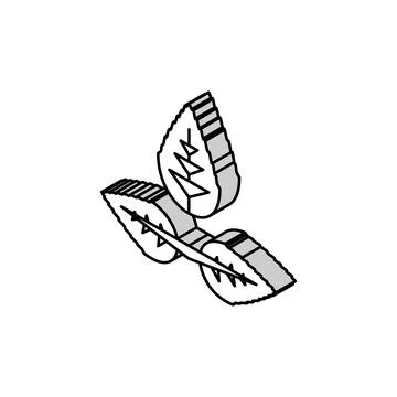 Rose flower leaf isometric icon vector illustration Stock Illustration