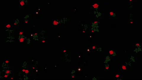 Rose flower particle loop animation Video stock 168168329