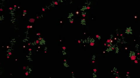 Rose flower particle loop animation Stock Footage 168168371