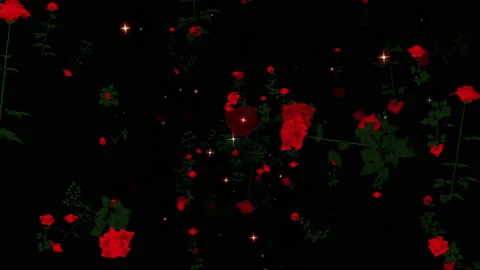 Rose flower particle loop animation Stock Footage 168168393