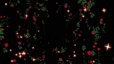 Rose flower particle loop animation Stock Footage 168168419