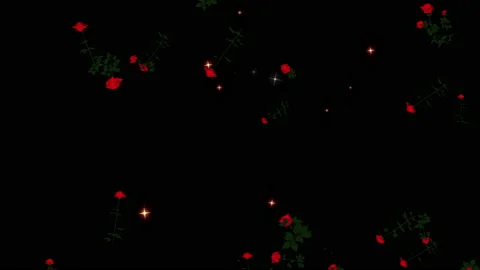 Rose flower particle loop animation Stock Footage 168168757