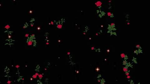 Rose flower particle loop animation Stock Footage 168168955