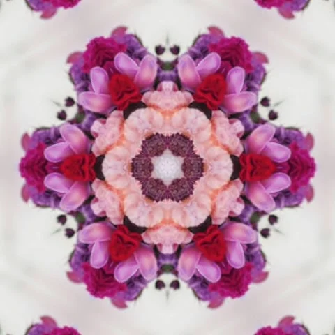 Rose Flower Pattern, Seamless geometry Circle Kaleidoscope Stock Footage 227527204