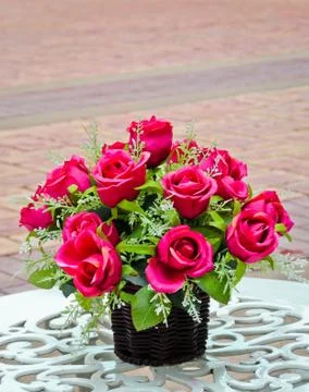 Rose flower Stock Photos