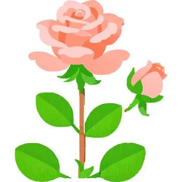Rose Flower Red Bloom Commitment Apology Stock Illustration
