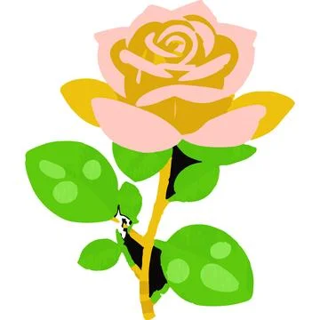 Rose Flower Red Bloom Knowledge Equanimity Stock Illustration