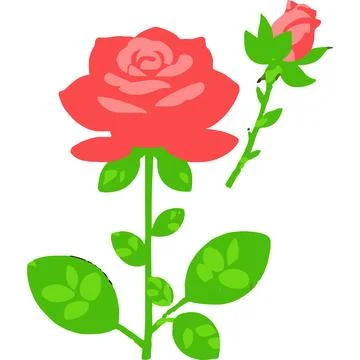 Rose Flower Red Bloom Warmth Task Ilustración de archivo