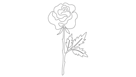 Rose Flower Solid Continuous Line Animation Stock Footage 297859339