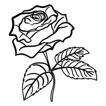 Rose Flower with Stem for Coloring. Vector Illustration of a Beautiful Rose.. Stock Illustration