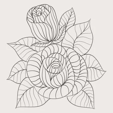 Rose flower vector Stock Illustration