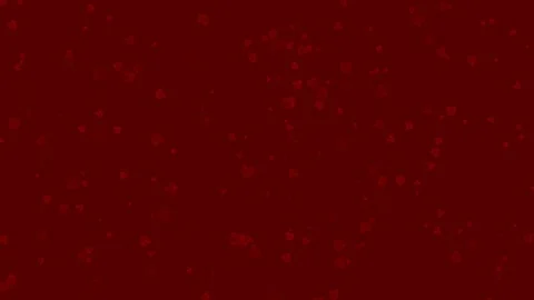 Rose flowers background, loop Stock Footage 80340447