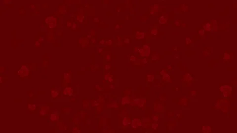 Rose flowers background, loop Stock Footage 80340480