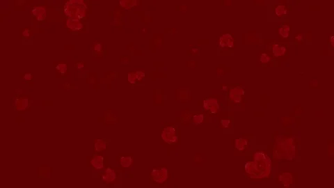 Rose flowers background, loop Stock Footage 80340539