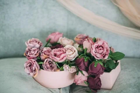 Rose flowers in boxes on the sofa Stock Photos