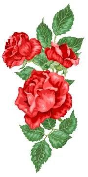 Rose flowers decorative element in vector illustration Stock Illustration