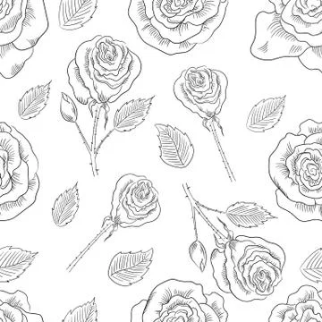 Rose flowers seamless pattern background. Tender beautiful lowers. Illustrazione stock