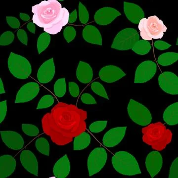 Rose flowers seamless pattern on black background. Vector illustration. Stockillustratie