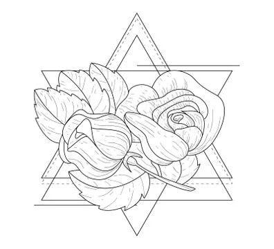 Rose Flowers in Triangle Geometrical Frames Hand Drawn Monochrome Vector 库存插图