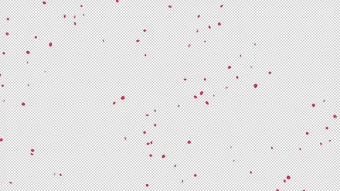 Rose Flutter Down 01 Loop HD Stock Footage 312511558