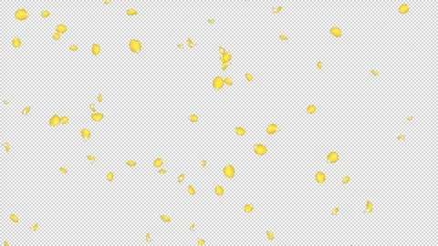 Rose Flutter Down 02 Loop Yellow HD Stock Footage 312511582