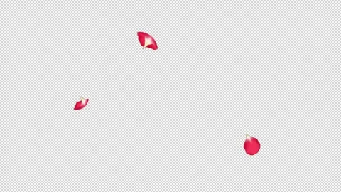 Rose Flutter Down 03 Loop HD Stock Footage 312511592