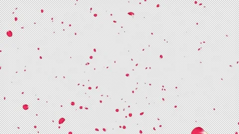 Rose Flutter Lookdown 01 Loop HD Stock Footage 312511610