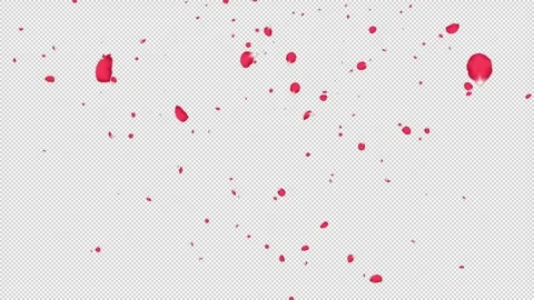 Rose Flutter Lookup 01 Loop HD Stock Footage 312511623