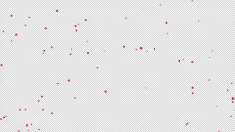 Rose Flutter Side 01 Loop HD Stock Footage 312511632