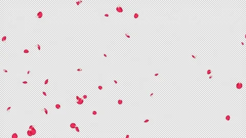 Rose Flutter Side 02 Loop HD Stock Footage 312511642