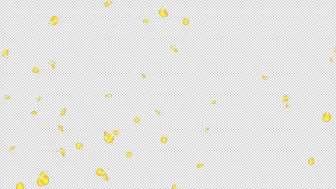 Rose Flutter Side 02 Loop Yellow HD Stock Footage 312511647