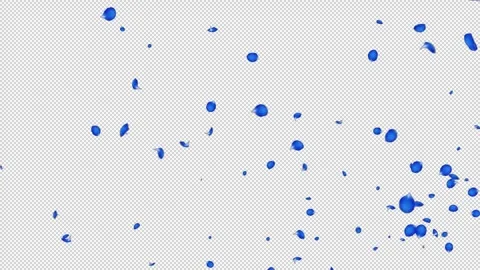 Rose Flutter Slow 01 Blue HD Stock Footage 312511656