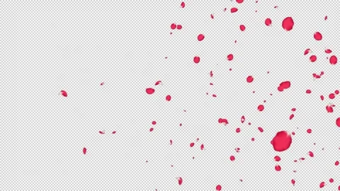 Rose Flutter Slow 03 HD Stock Footage 312511680