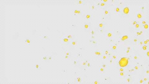 Rose Flutter Slow 03 Yellow HD Stock Footage 312511681