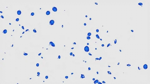 Rose Flutter Slow 05 Blue HD Stock Footage 312511700