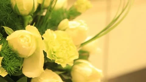 Rose 스톡 동영상 10793368