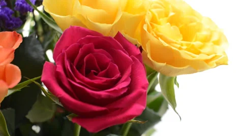 Rose Stock Footage 29640771