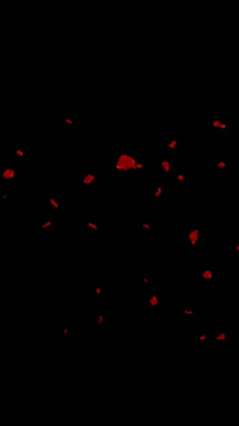 Rose Vidéo 234769995