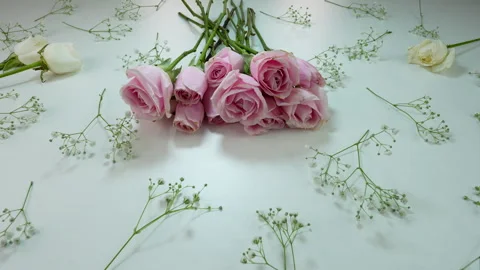 Rose Video stock 346751702
