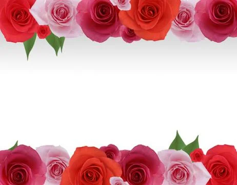 Rose frame Stock Illustration