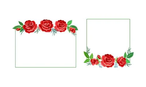 Rose Frame with Red Lush Bud and Green Leaves Arranged in Shape with Border Stock Illustration