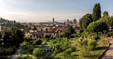 Rose Garden Stock Footage 74313603