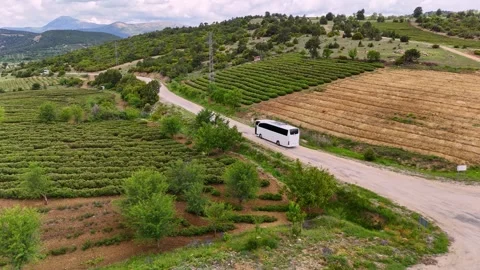 Rose Garden Route Stock Footage 337877936