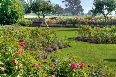 Rose garden, warwickshire Stock Photos