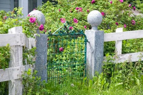 Rose gate Stock Photos