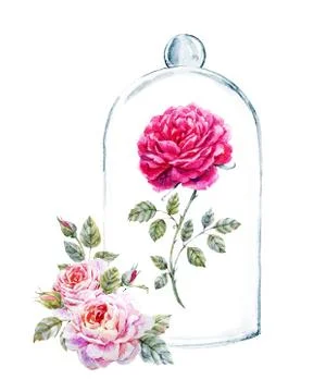 Rose in a glass case Stock Illustration