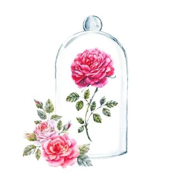 Rose in a glass case Stock Illustration