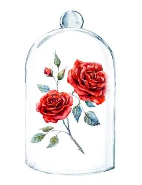 Rose in a glass case Stock Photos